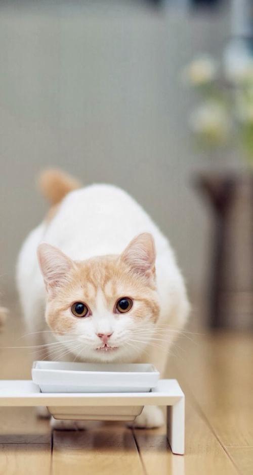 ÃÀ¼²¿ØÖÐÐÄ:±äÒìйڲ¡¶¾ÒÑÔÚÃÀ¹ú·¢ÉúÈ˼ʴ«²¥