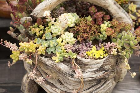 ίʮߴȫٿ桰ʮ塱׶չͼ