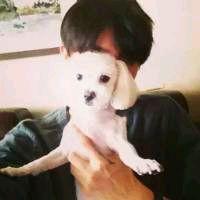 ȫIPOʶӽʷλ гǹĭ